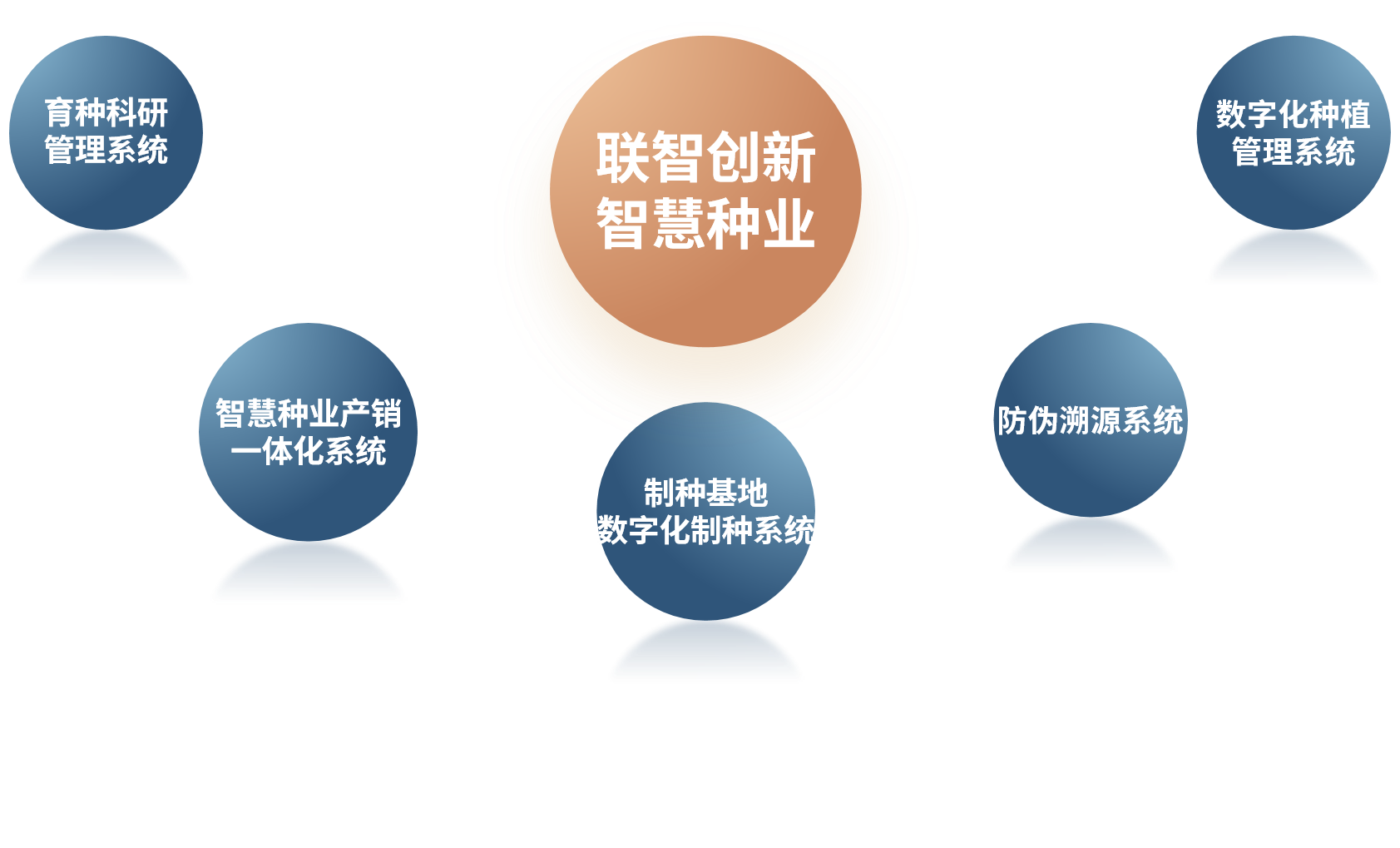 種業進銷存