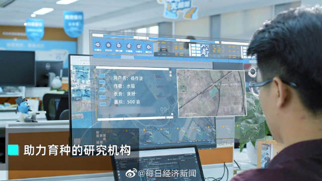數字種業